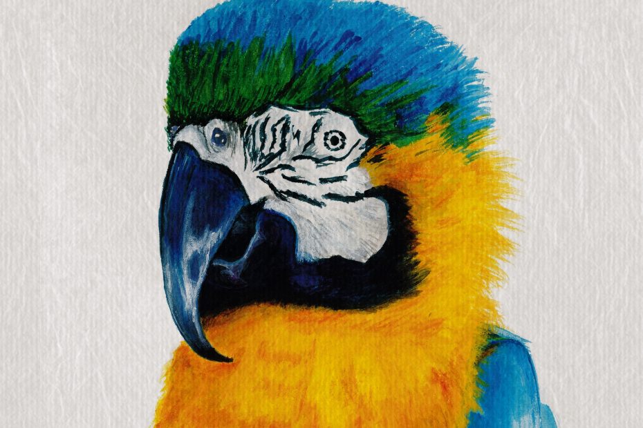 Papagei Notizbuch auf KDP Amazon.